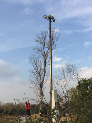 景观照明—照明升降杆